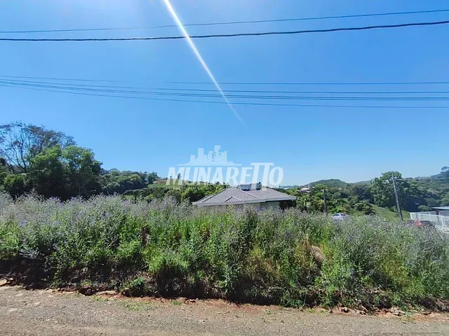 Terreno com 640m², à venda, no bairro Nossa Senhora da Salete em Concórdia