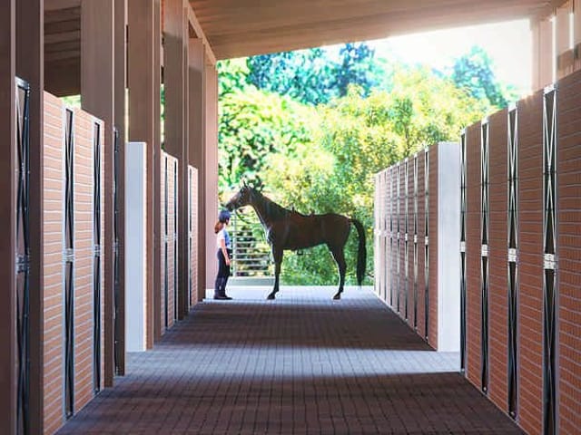 Terreno com 616m², à venda, no bairro Santa Regina em Camboriú
