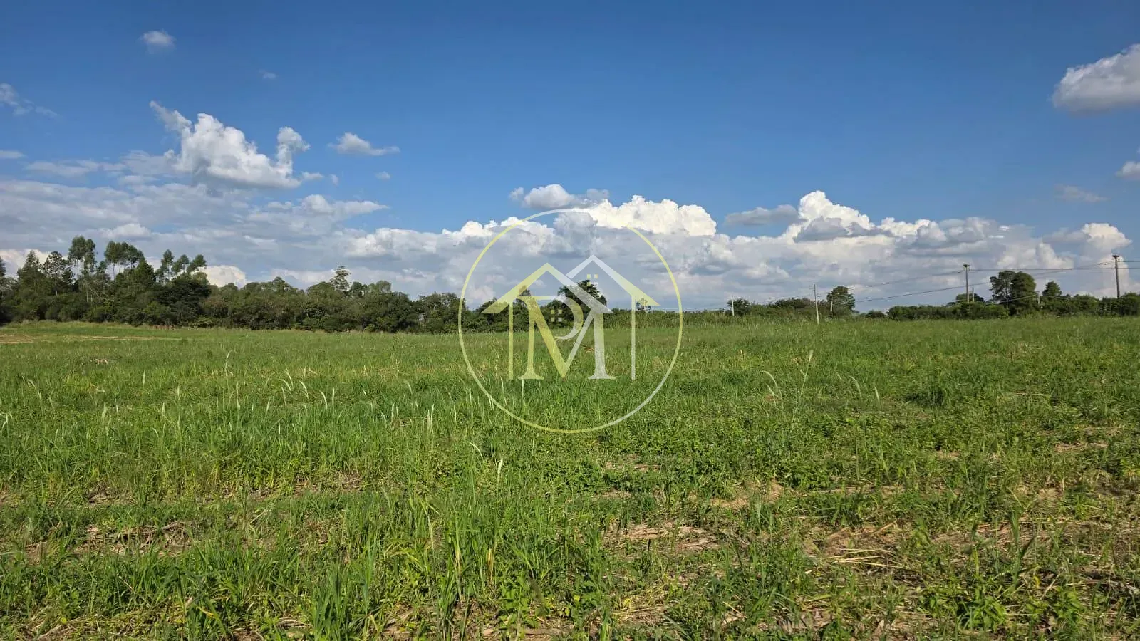 Terreno, 29 hectares - Foto 9