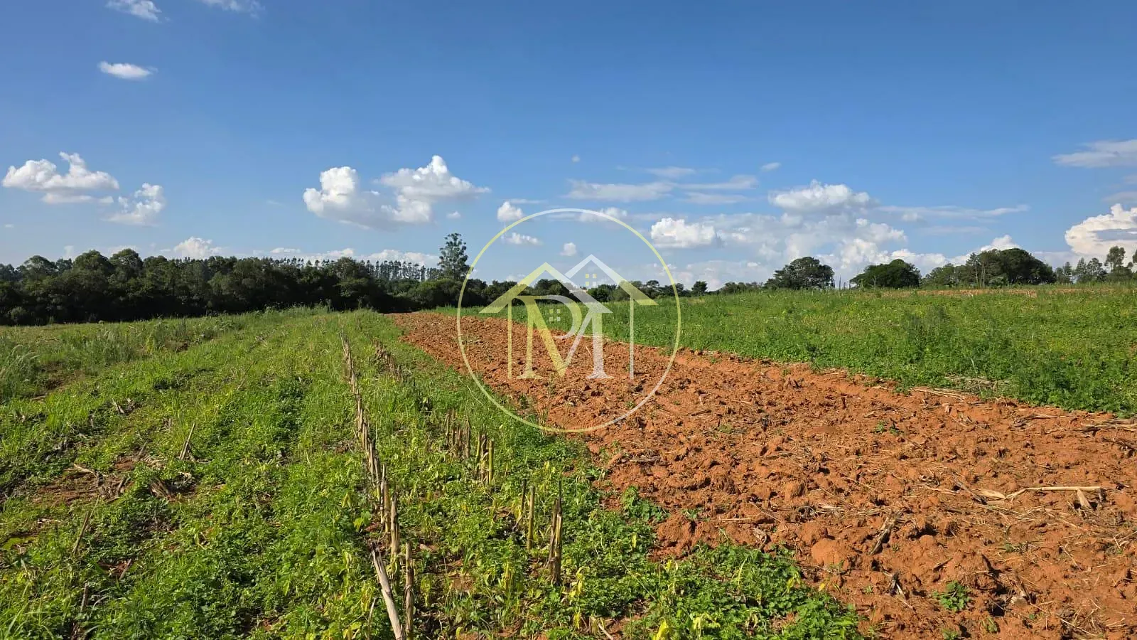 Terreno, 29 hectares - Foto 11