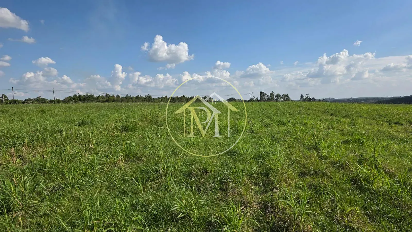 Terreno, 29 hectares - Foto 6