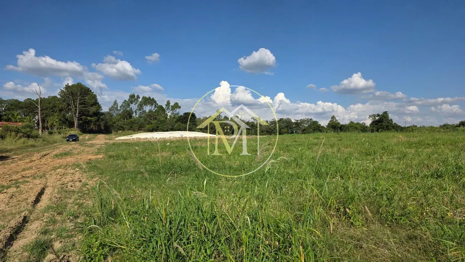 Terreno, 29 hectares - Foto 7