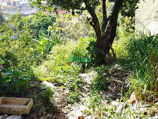 Terreno com 125m², à venda, no bairro Jardim Nicea em Itaquaquecetuba