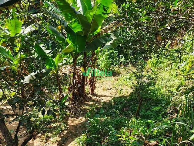 Terreno com 125m², à venda, no bairro Jardim Nicea em Itaquaquecetuba