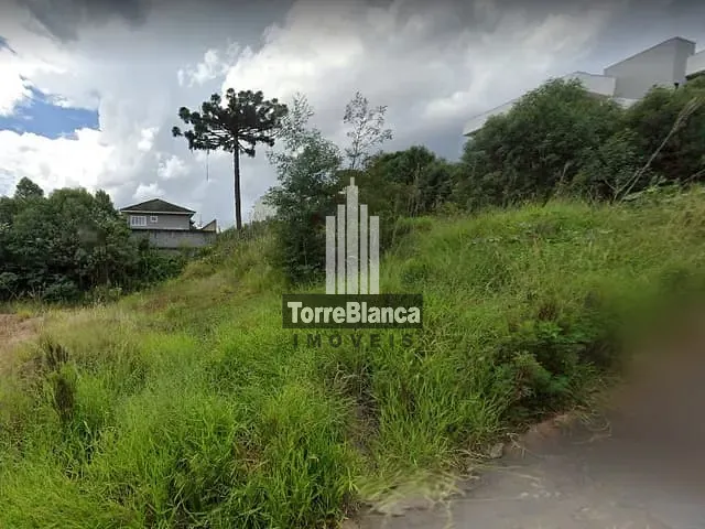 Terreno com 409m², à venda, no bairro Estrela em Ponta Grossa