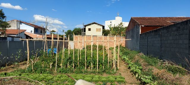 Terreno com 270m², à venda, no bairro Nossa Senhora do Perpétuo Socorro em Pindamonhangaba
