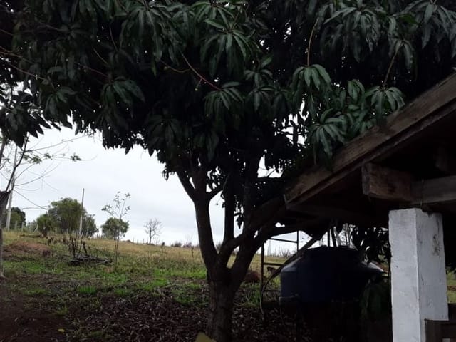 Foto do Terreno - Terreno à venda, 4000 m² por R$ 320.000,00 - Jardim das Cerejeiras - São José dos Campos/SP | INDEPENDENCE NEGOCIOS IMOBILIARIOS LTDA