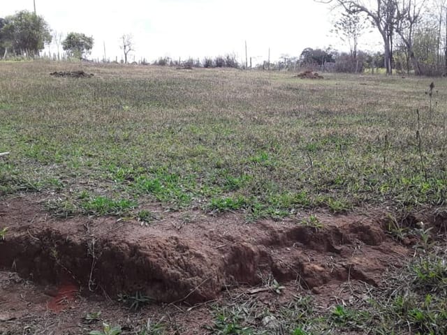 Foto do Terreno - Terreno à venda, 4000 m² por R$ 320.000,00 - Jardim das Cerejeiras - São José dos Campos/SP | INDEPENDENCE NEGOCIOS IMOBILIARIOS LTDA