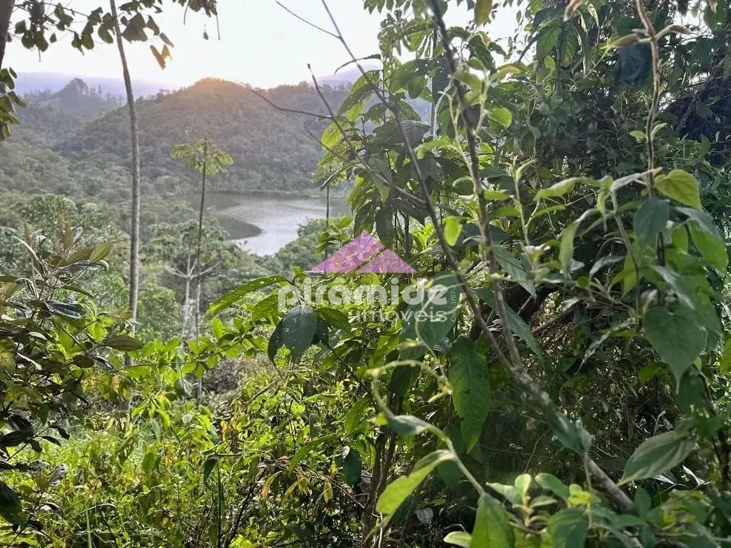 Terreno, 2 hectares - Foto 12