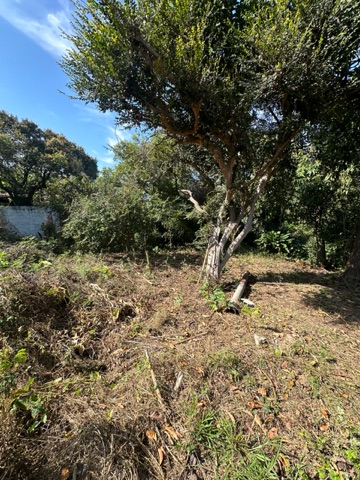Terreno com 1500m², à venda, no bairro Alto do Cardoso em Pindamonhangaba