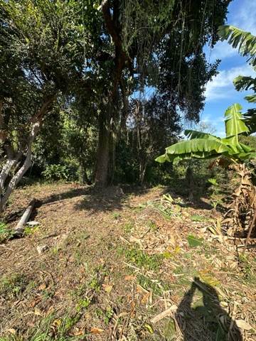 Terreno com 1500m², à venda, no bairro Alto do Cardoso em Pindamonhangaba
