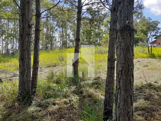 Terreno com 3158m², à venda, no bairro Parque Espelho D'Água em Jundiaí