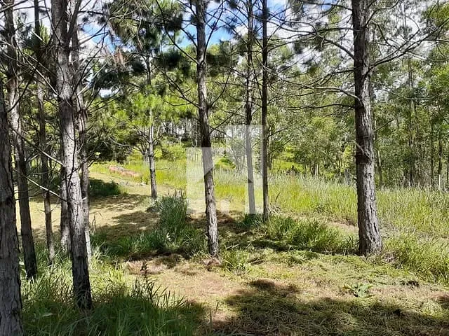 Terreno com 3158m², à venda, no bairro Parque Espelho D'Água em Jundiaí