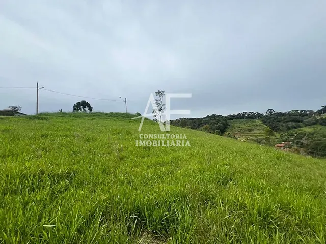 Terreno com 1155m², à venda, no bairro Sertãozinho em Santo Antônio do Pinhal