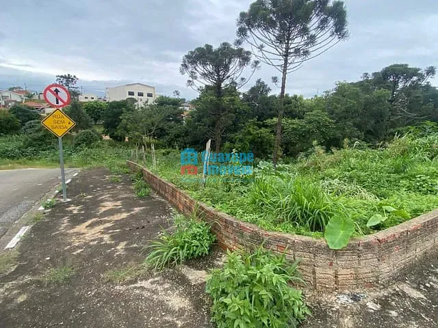 Terreno com 300m², à venda, no bairro Jardim Primavera em Guaxupé
