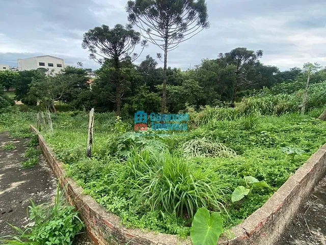 Terreno com 300m², à venda, no bairro Jardim Primavera em Guaxupé