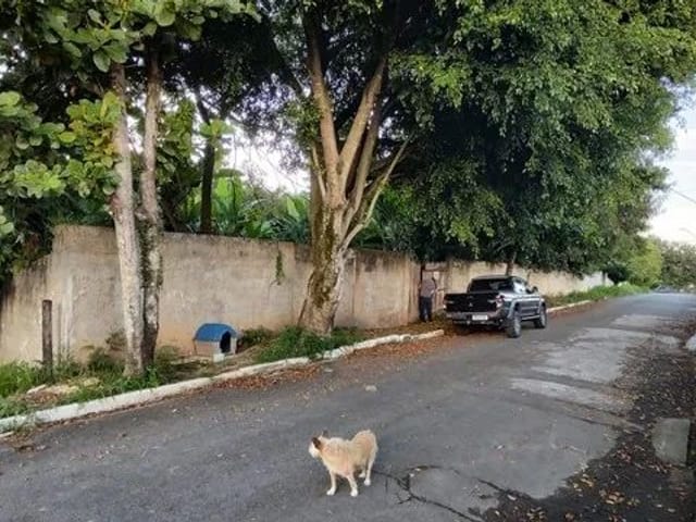 Terreno com 250m², à venda, no bairro Jardim Primavera em Roseira