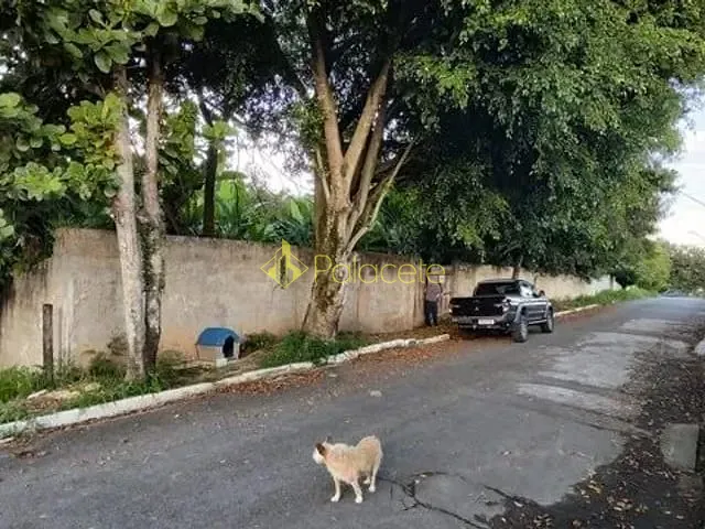 Terreno com 250m², à venda, no bairro Jardim Primavera em Roseira