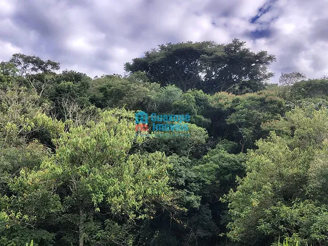 Terreno com 100000m², à venda, no bairro Sítio em Ibitiúra de Minas