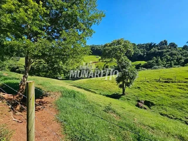 Terreno com 26836m², à venda, no bairro Interior em Ipira