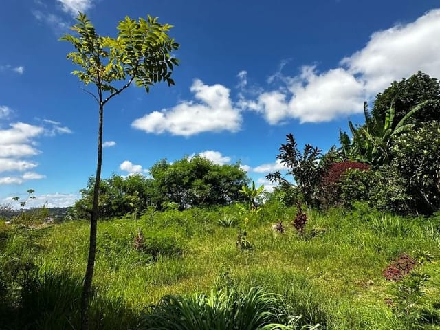 Terreno com 125m², à venda, no bairro Conceicao em São Paulo