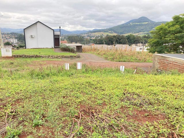 Foto do Terreno - Terreno com 649,82 m², à venda no bairro São Caetano cidade de Arroio do Meio / RS | Executivo Imóveis