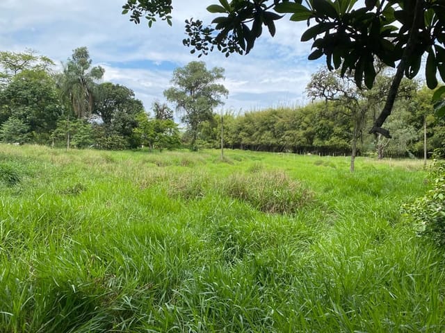Foto do Terreno - Área à venda, 13011 m² por R$ 3.500.000,00 - Santa Luzia - Caçapava/SP | INDEPENDENCE NEGOCIOS IMOBILIARIOS LTDA