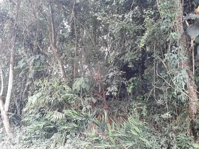 Terreno com 2254m², à venda, no bairro Vila Bonita (Santa Luzia) em Ribeirão Pires
