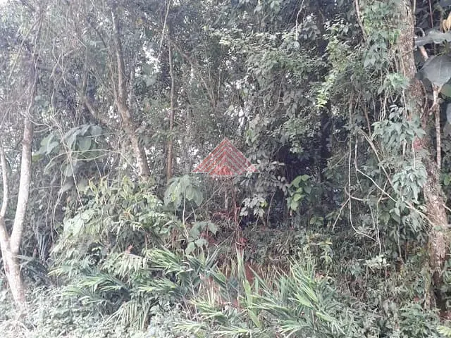 Terreno com 2254m², à venda, no bairro Vila Bonita (Santa Luzia) em Ribeirão Pires