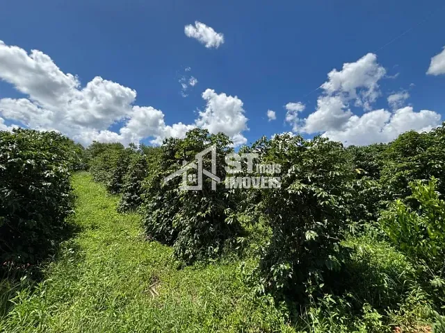 Terreno com 20000m², à venda, no bairro Zona Rural em Andradas