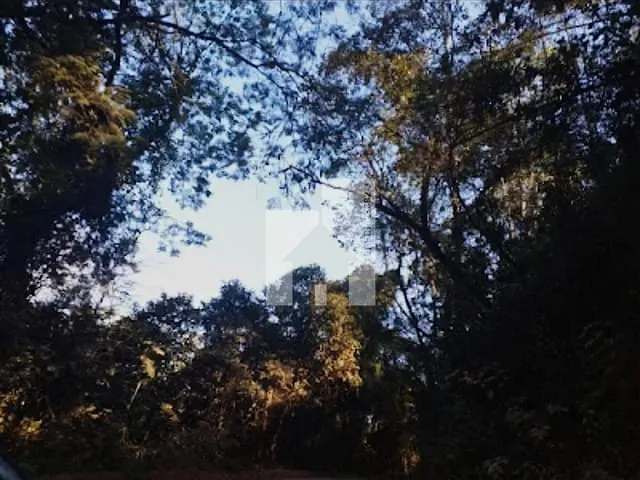Terreno com 1300m², à venda, no bairro Campo Largo em Jarinu