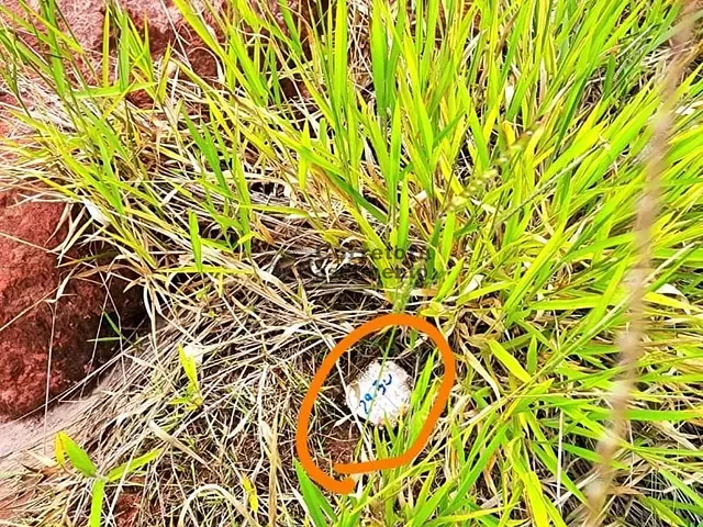 Terreno com 125m², à venda, no bairro Jardim Novo Amanhecer em Jacareí