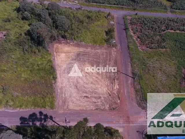 Terreno com 564m², à venda, no bairro Estrela em Ponta Grossa