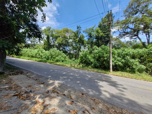 Foto do Terreno - Terreno residencial para venda em Roseira, 6,779m² | Lares e Andares Imóveis