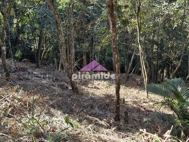 Terreno com 3416m², à venda, no bairro Praia das Cigarras em São Sebastião
