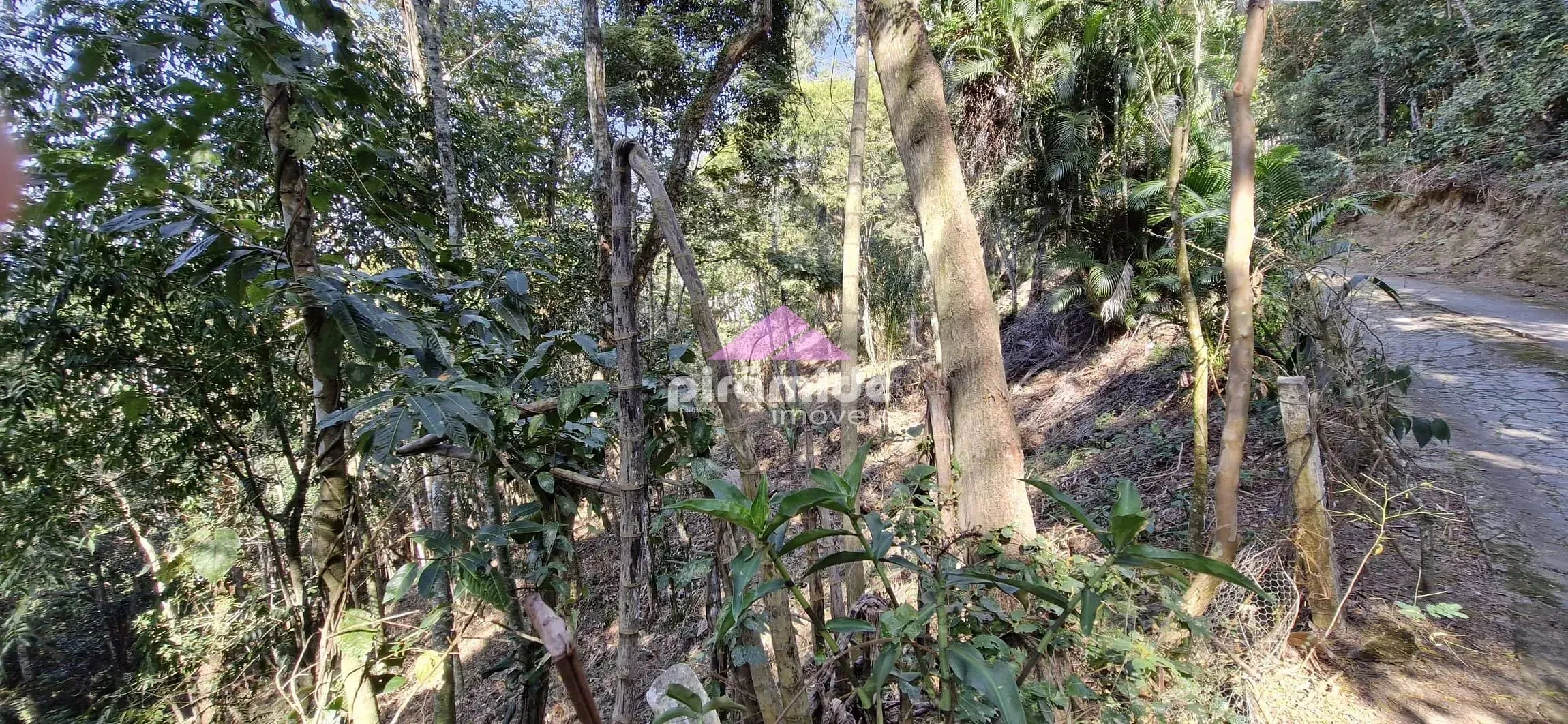 Terreno, 3416 m² - Foto 10