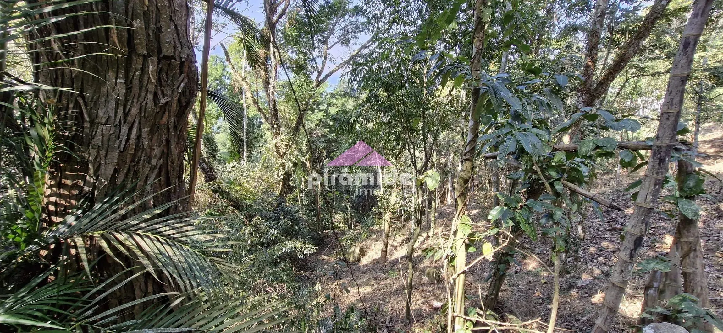 Terreno, 3416 m² - Foto 11