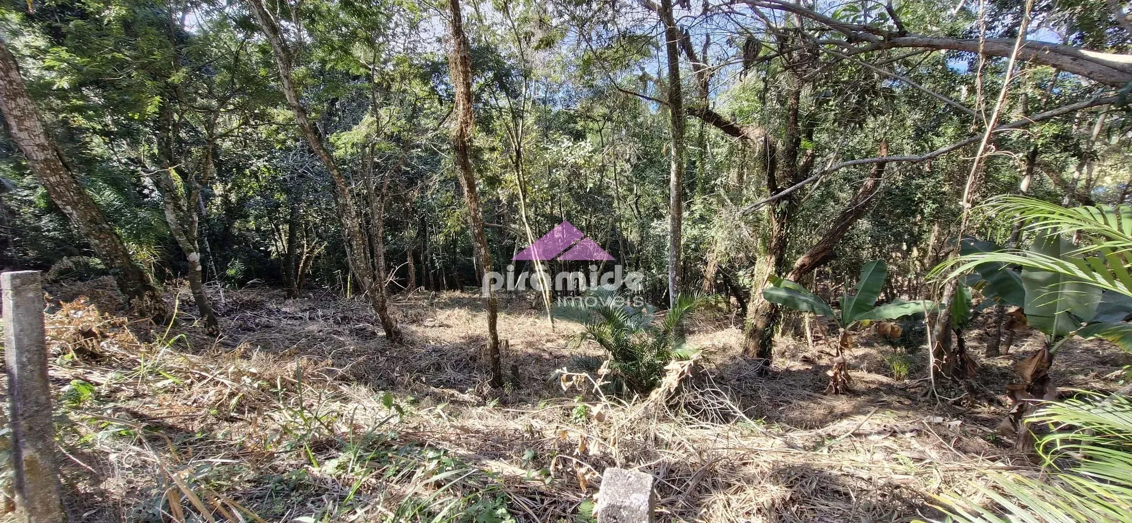 Terreno, 3416 m² - Foto 4