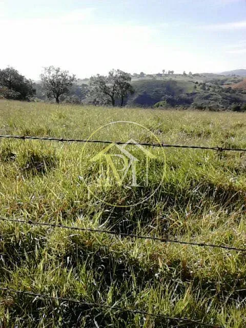 Terreno, 18 hectares - Foto 7
