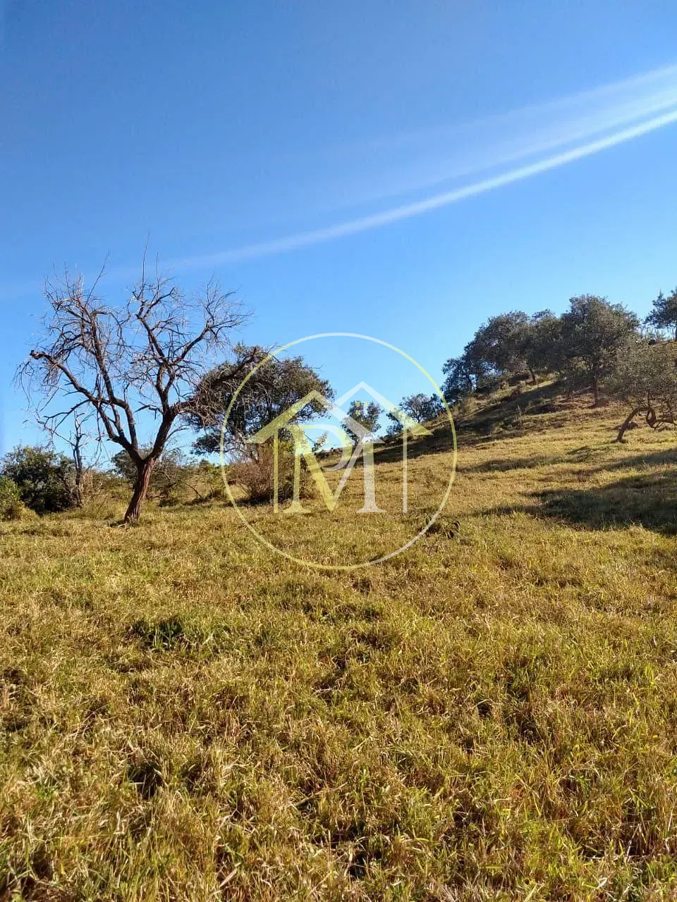 Terreno, 18 hectares - Foto 8