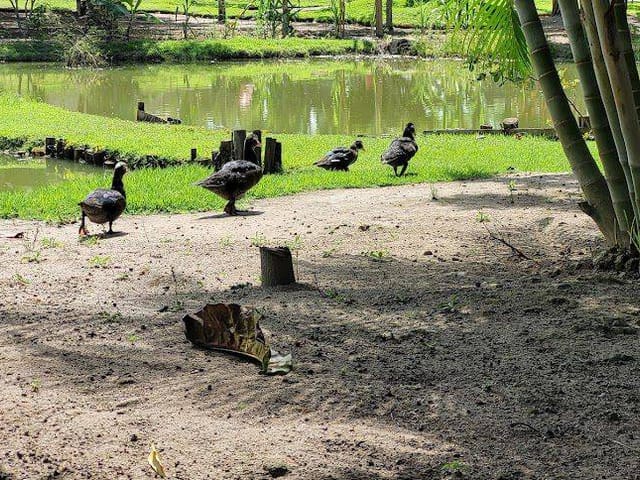 Terreno com 200m², à venda, no bairro Jardim Beira Rio em Teixeira de Freitas