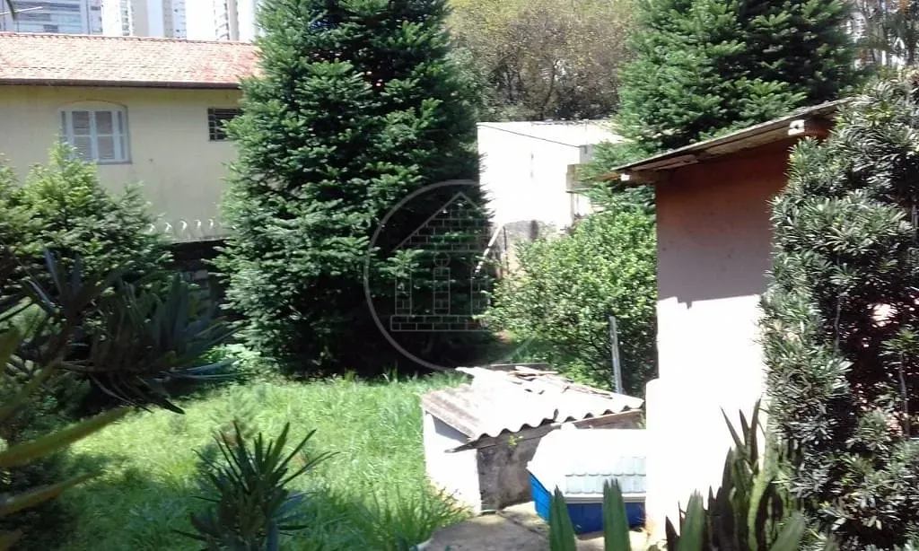 Terreno, 1000 m² - Foto 5
