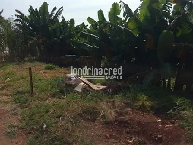 Terreno com 502m², à venda, no bairro Jardim Anaterra em Londrina