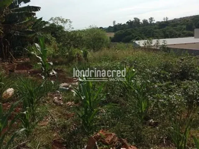 Terreno com 502m², à venda, no bairro Jardim Anaterra em Londrina