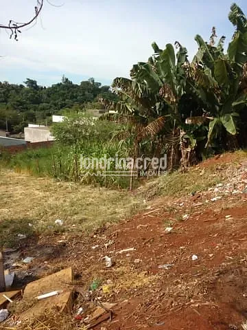 Terreno, 502 m² - Foto 2