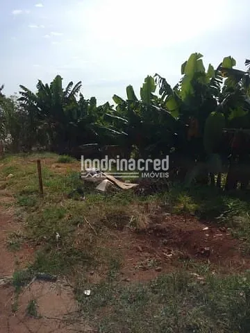 Terreno, 502 m² - Foto 4