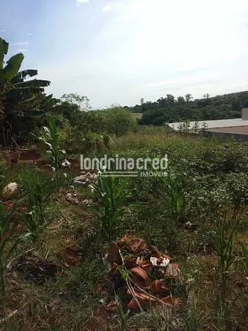 Terreno, 502 m² - Foto 3