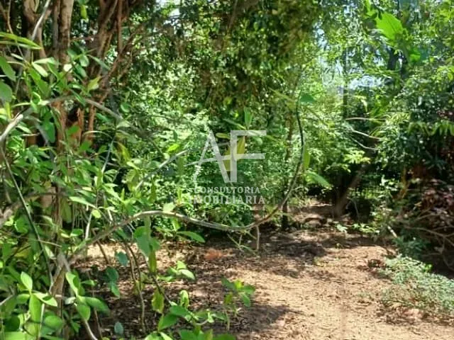 Terreno com 978m², à venda, no bairro Independência em Taubaté