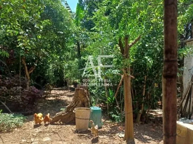 Terreno com 978m², à venda, no bairro Independência em Taubaté