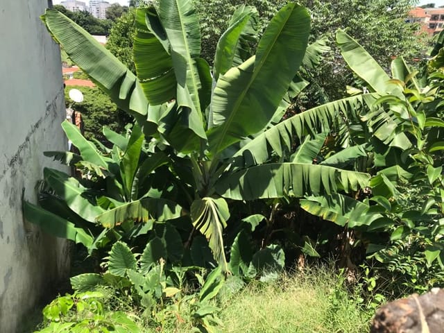 Terreno com 272m², à venda, no bairro Jardim Bonfiglioli em São Paulo